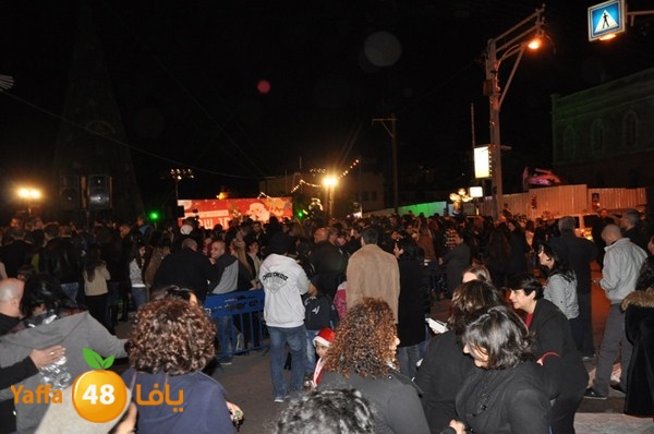 tree light 1208 (48).JPG